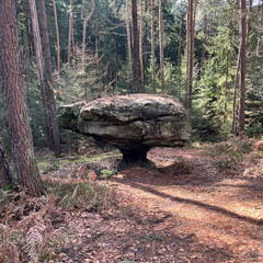 24-02-29 12-36-38 8839